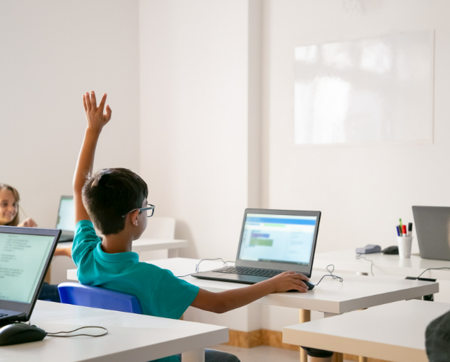 Boy Raising Hand during Class
